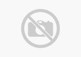 Seat Arona 1,0 TSI,Style Klima Einparkhilfe